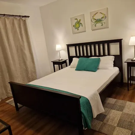 Guest house Tecoma Mamaia Navodari