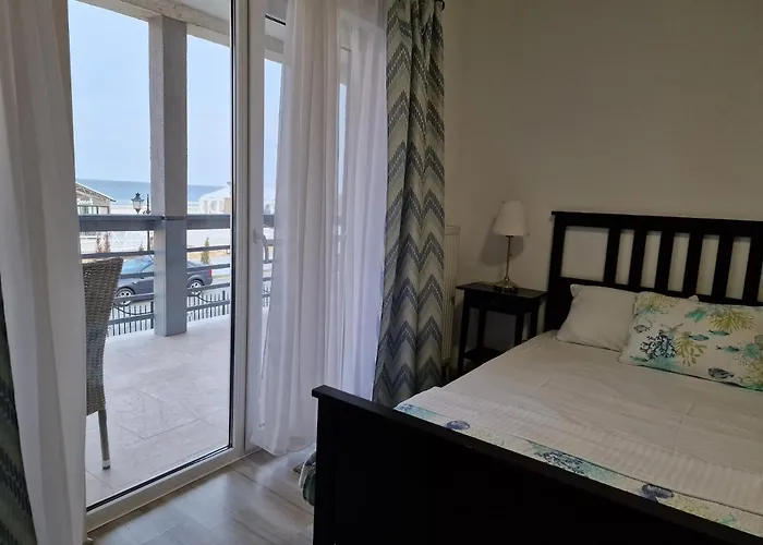 Tecoma Mamaia Navodari